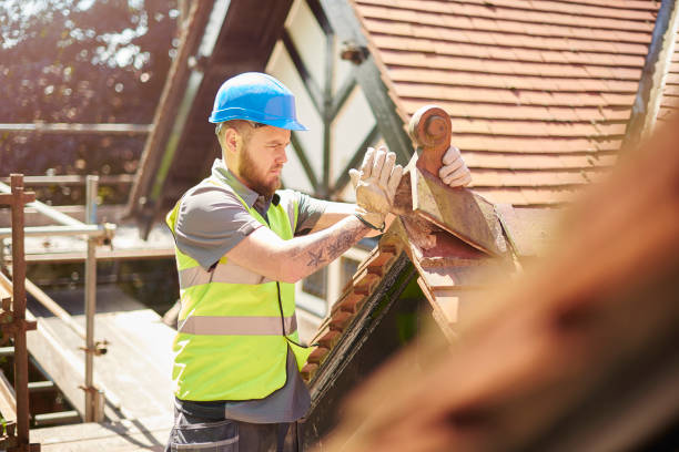 Best Local Roofing Companies  in Silver Firs, WA