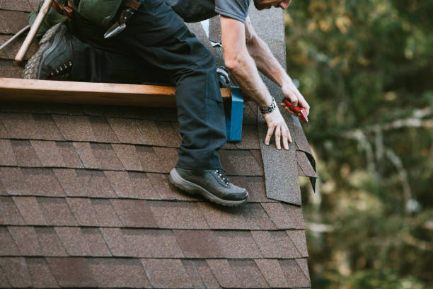 Best Metal Roofing Contractor  in Silver Firs, WA